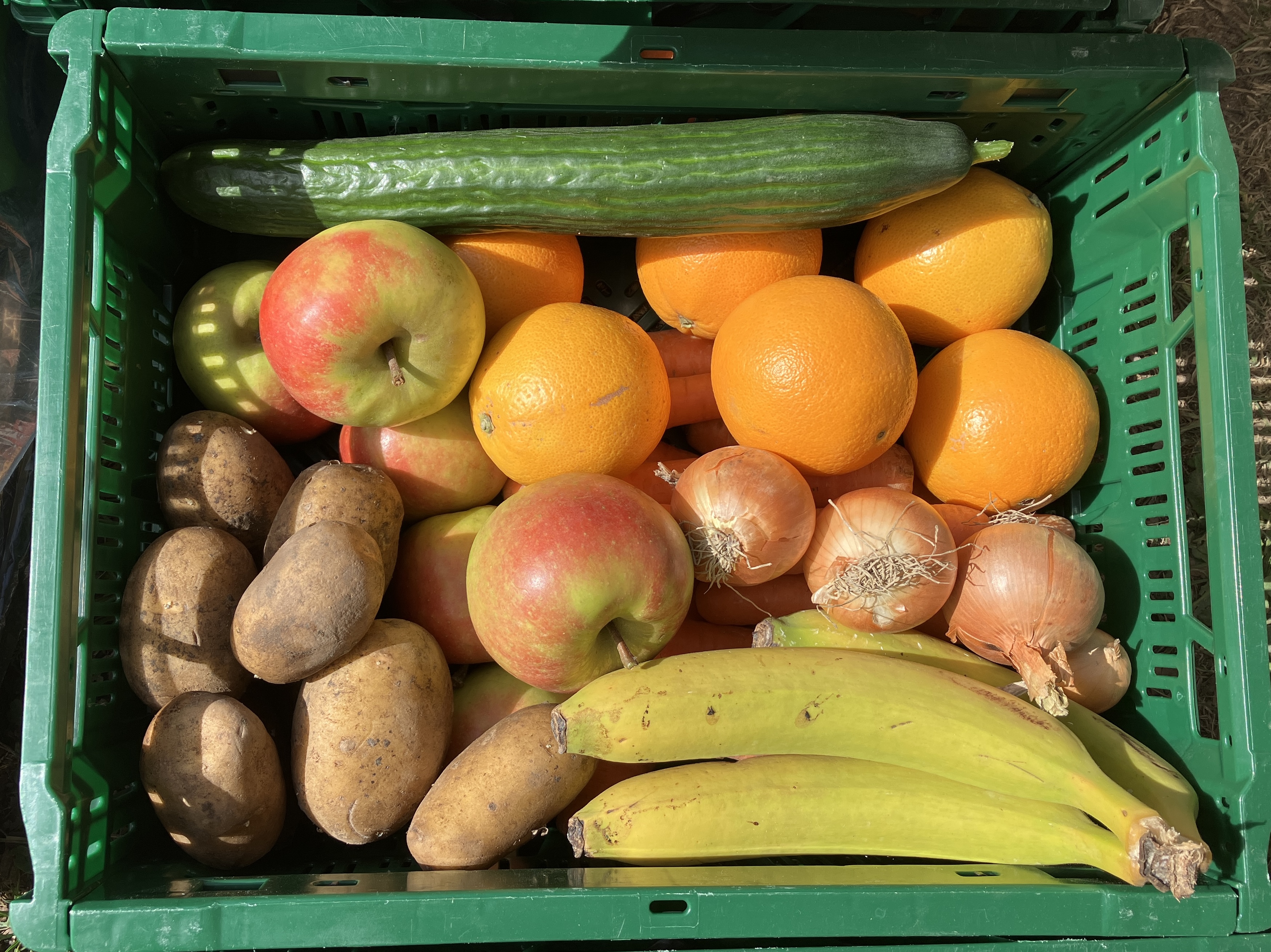 Obst & Gemüse Kiste | L