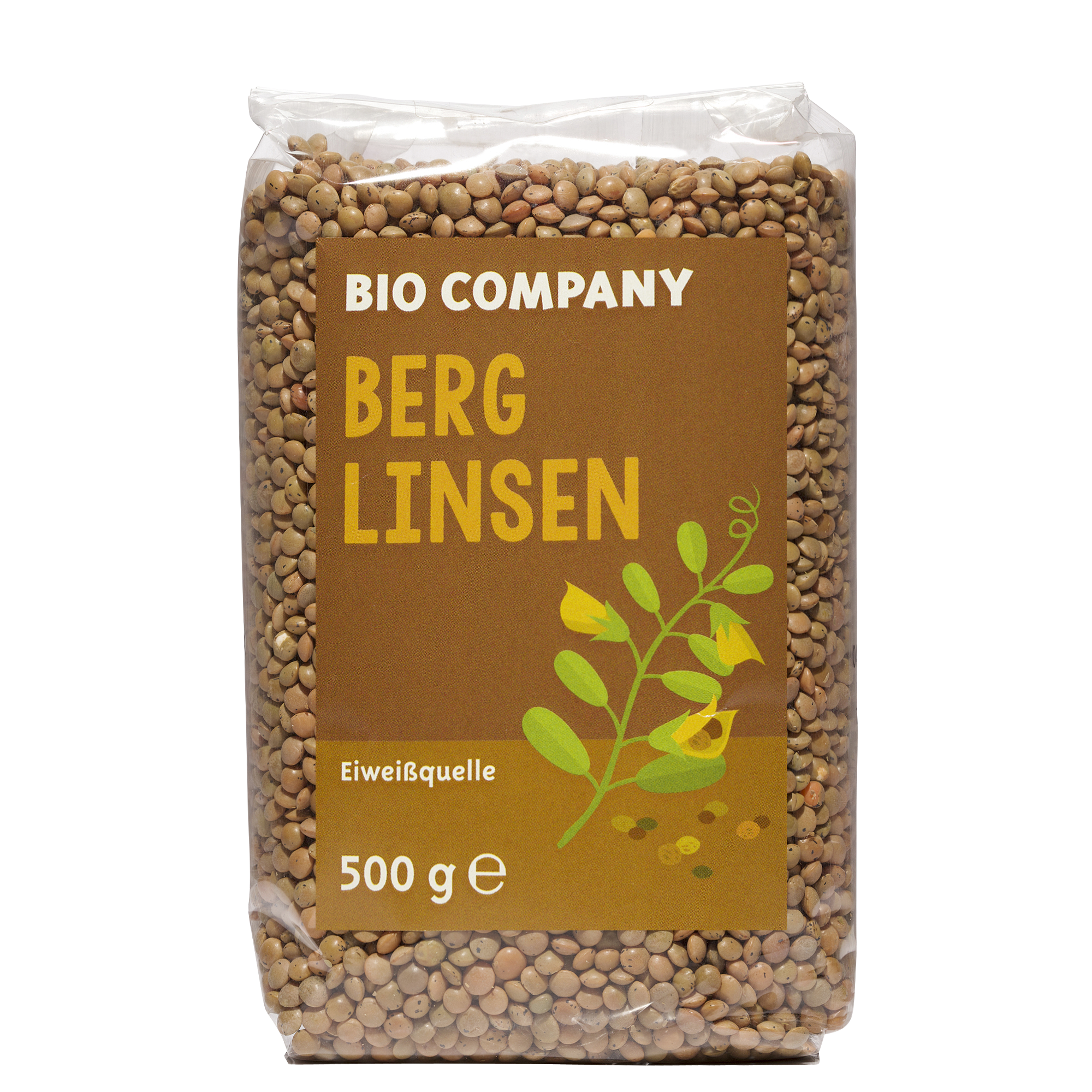 Berglinsen braun